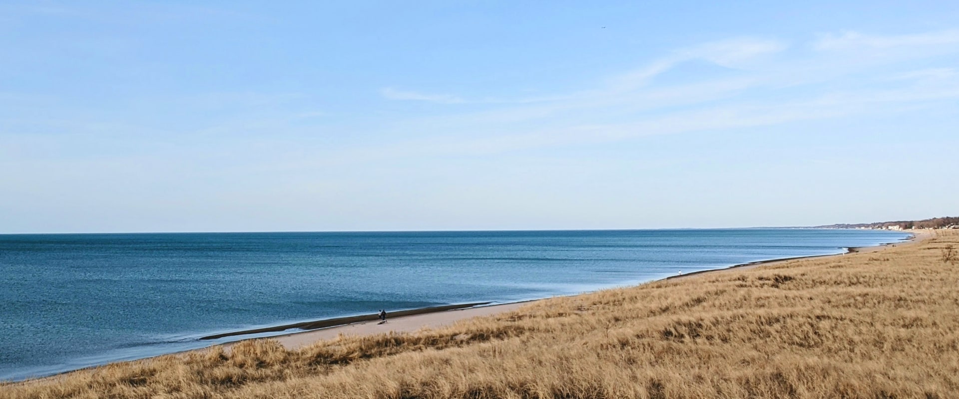 Grassy Beach Crop.