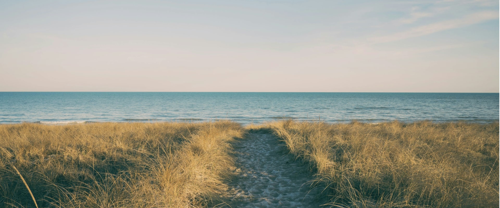 Path To a Beach through tall grasses.